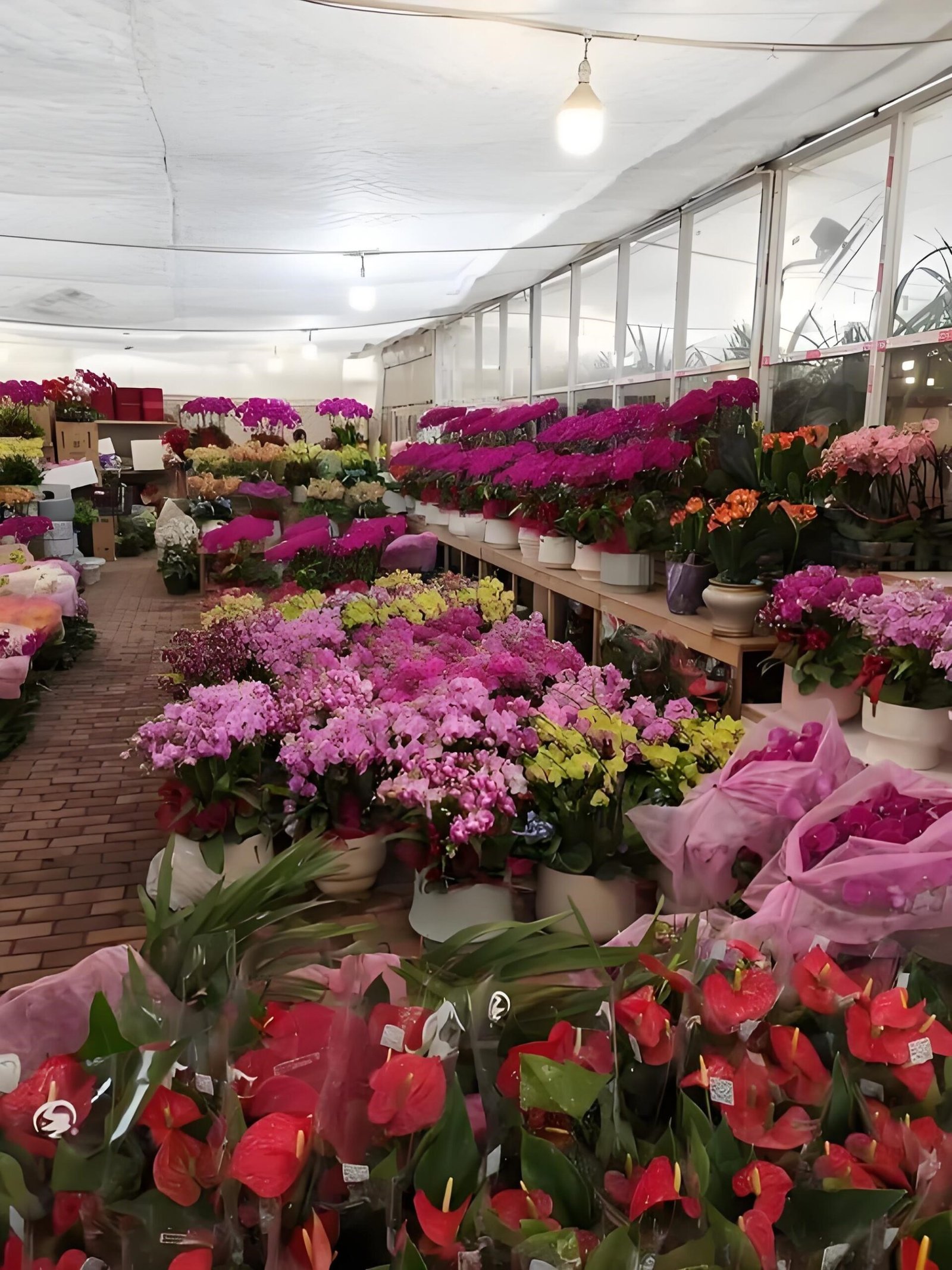 LANFONI planters used at a customer flower nursery